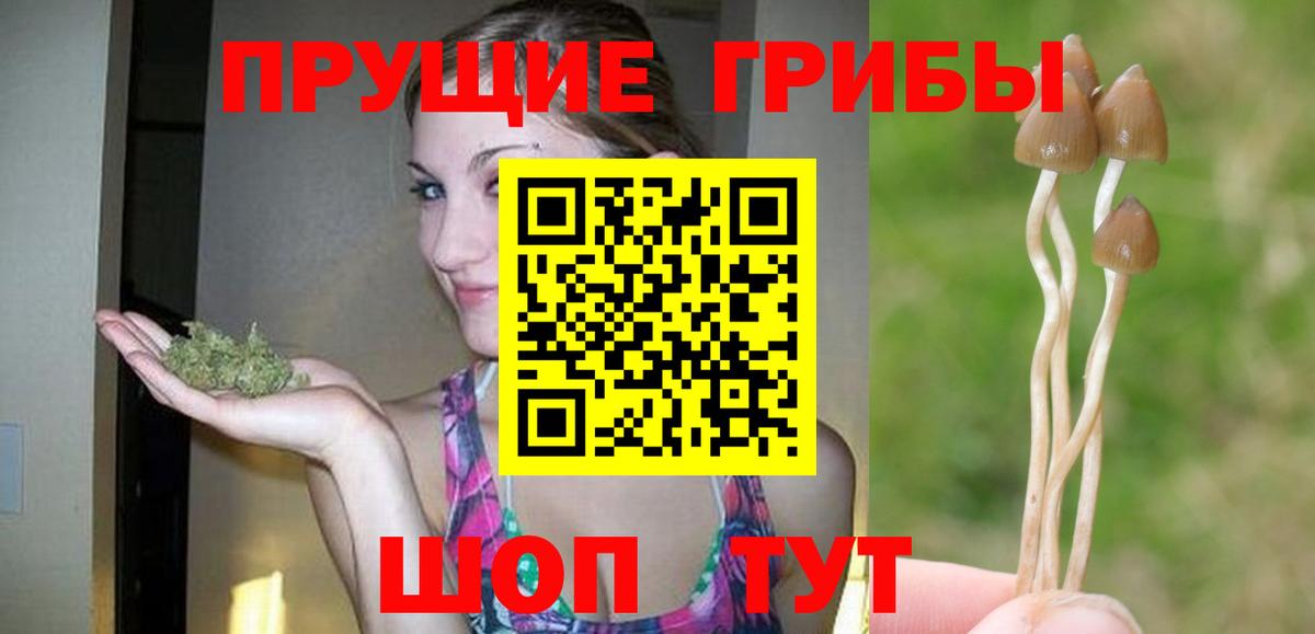 Галлюциногенные грибы мухоморы  закладка  Саратов  Вход с VPN 