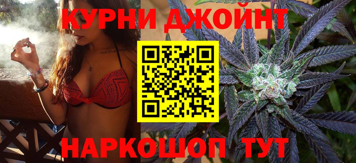 Бошки Шишки гибрид Саратов